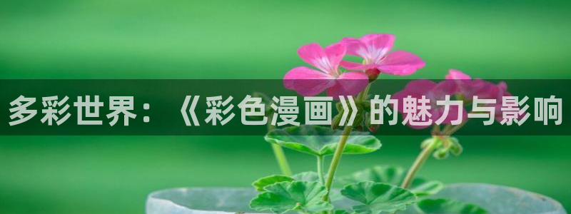 禁漫天堂,在线观看